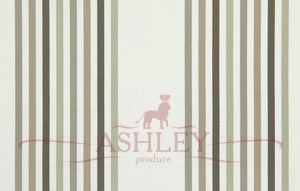 1257-531_HALSWAY_STONE Prestigious Textiles Pemberley    