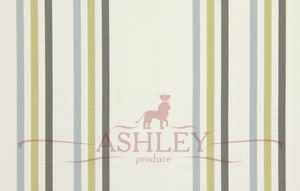 1257-544_HALSWAY_DANDELION Prestigious Textiles Pemberley    