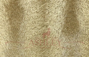 1212-506_LION_GOLD Prestigious Textiles Zambezi    