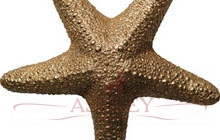 Starfish-Gilt Byron & Byron    